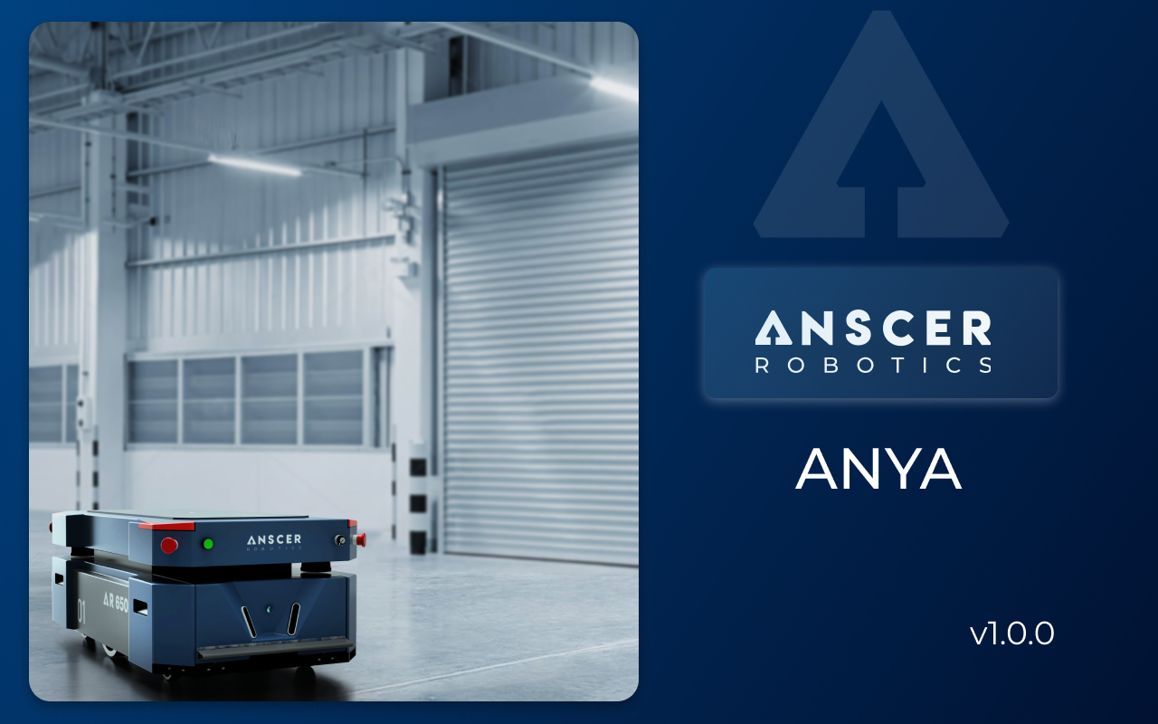 ANSCER ANYA Introduction